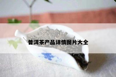 普洱茶产品详情图片大全