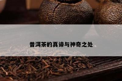 普洱茶的真谛与神奇之处