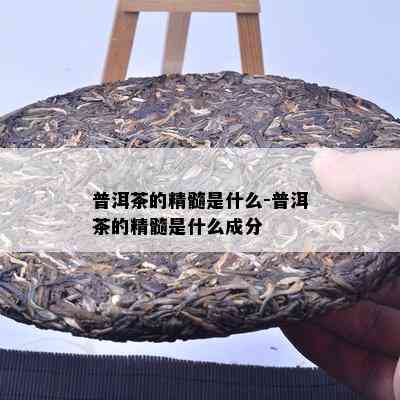 普洱茶的精髓是什么-普洱茶的精髓是什么成分