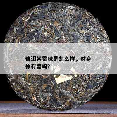 普洱茶霉味是怎么样，对身体有害吗？