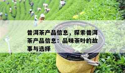 普洱茶产品信息，探索普洱茶产品信息：品味茶叶的故事与选择