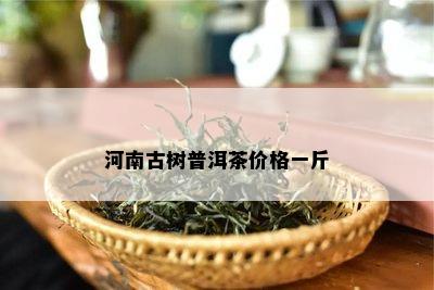 河南古树普洱茶价格一斤