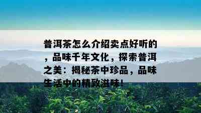 普洱茶怎么介绍卖点好听的，品味千年文化，探索普洱之美：揭秘茶中珍品，品味生活中的精致滋味！