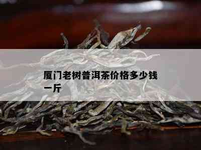 厦门老树普洱茶价格多少钱一斤