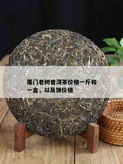 厦门老树普洱茶价格一斤和一盒，以及饼价格