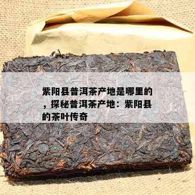 紫阳县普洱茶产地是哪里的，探秘普洱茶产地：紫阳县的茶叶传奇