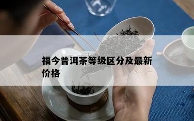 福今普洱茶等级区分及最新价格