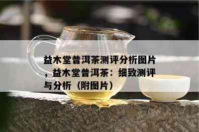 益木堂普洱茶测评分析图片，益木堂普洱茶：细致测评与分析（附图片）