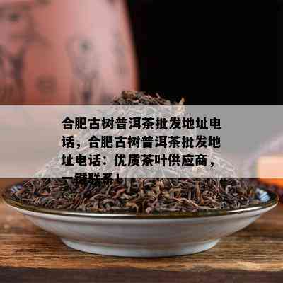 合肥古树普洱茶批发地址电话，合肥古树普洱茶批发地址电话：优质茶叶供应商，一键联系！