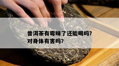 普洱茶有霉味了还能喝吗？对身体有害吗？