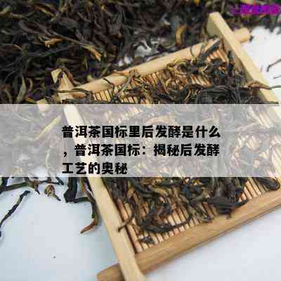 普洱茶国标里后发酵是什么，普洱茶国标：揭秘后发酵工艺的奥秘