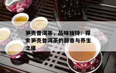 笋壳普洱茶，品味独特：探索笋壳普洱茶的醇香与养生之道