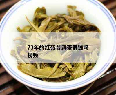 73年的红砖普洱茶值钱吗视频