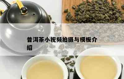 普洱茶小视频拍摄与模板介绍