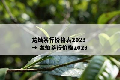 龙灿茶行价格表2023 → 龙灿茶行价格2023