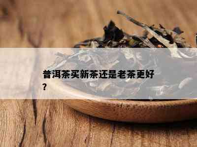 普洱茶买新茶还是老茶更好？