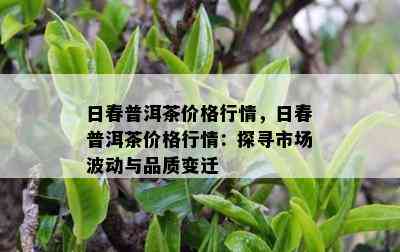 日春普洱茶价格行情，日春普洱茶价格行情：探寻市场波动与品质变迁