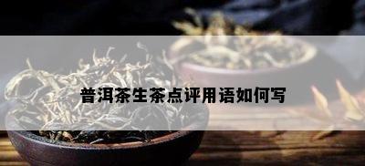 普洱茶生茶点评用语如何写