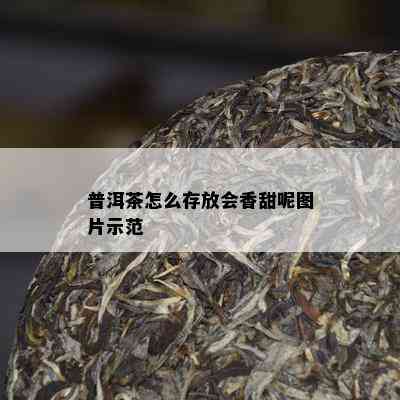 普洱茶怎么存放会香甜呢图片示范