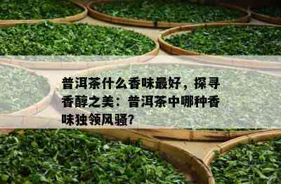 普洱茶什么香味更好，探寻香醇之美：普洱茶中哪种香味独领 *** ？