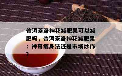 普洱茶洛神花减肥果可以减肥吗，普洱茶洛神花减肥果：神奇瘦身法还是市场炒作？