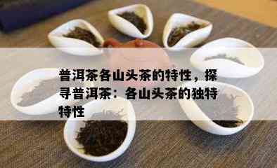 普洱茶各山头茶的特性，探寻普洱茶：各山头茶的独特特性