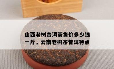 山西老树普洱茶售价多少钱一斤，云南老树茶普洱特点