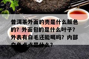 普洱茶外面的壳是什么颜色的？外面包的是什么叶子？外表有白毛还能喝吗？内部白色点点是什么？