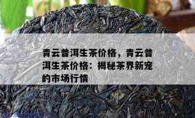 青云普洱生茶价格，青云普洱生茶价格：揭秘茶界新宠的市场行情