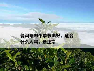 普洱茶哪个季节喝好，适合什么人喝，最正宗