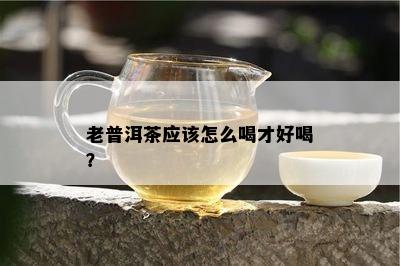 老普洱茶应该怎么喝才好喝？