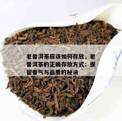 老普洱茶应该如何存放，老普洱茶的正确存放方式：保留香气与品质的秘诀