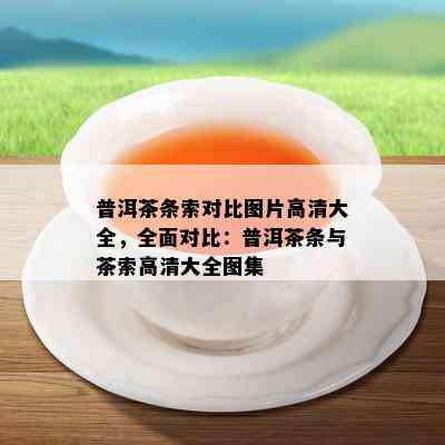 普洱茶条索对比图片高清大全，全面对比：普洱茶条与茶索高清大全图集