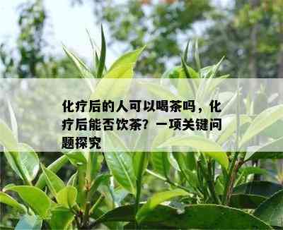 化疗后的人可以喝茶吗，化疗后能否饮茶？一项关键问题探究