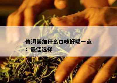 普洱茶加什么口味好喝一点：更佳选择