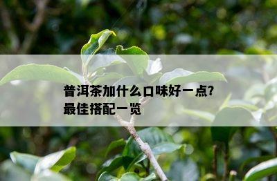 普洱茶加什么口味好一点？更佳搭配一览