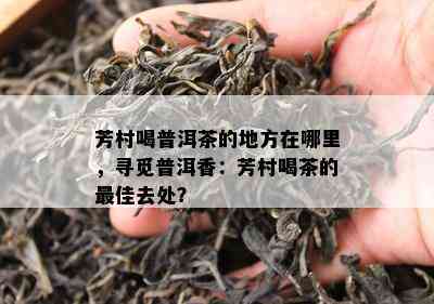 芳村喝普洱茶的地方在哪里，寻觅普洱香：芳村喝茶的更佳去处？