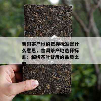 普洱茶产地的选择标准是什么意思，普洱茶产地选择标准：解析茶叶背后的品质之道