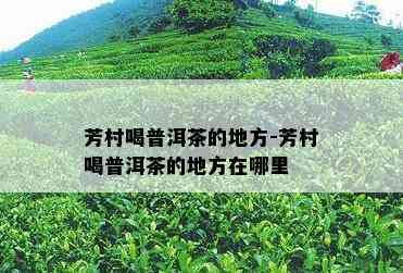 芳村喝普洱茶的地方-芳村喝普洱茶的地方在哪里