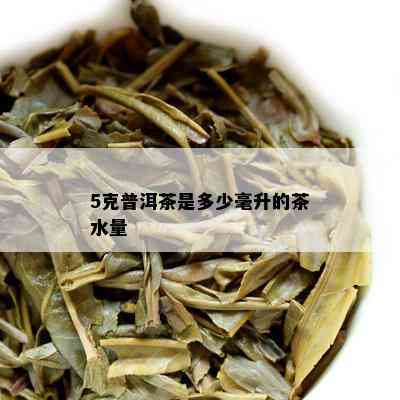 5克普洱茶是多少毫升的茶水量