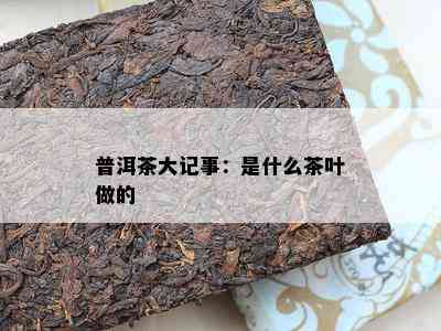 普洱茶大记事：是什么茶叶做的