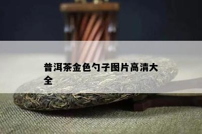 普洱茶金色勺子图片高清大全