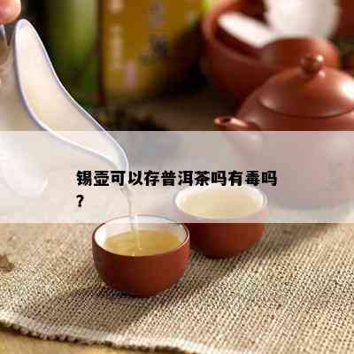 锡壶可以存普洱茶吗有吗？