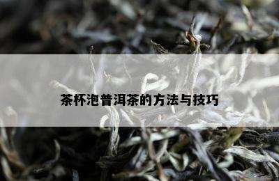 茶杯泡普洱茶的方法与技巧