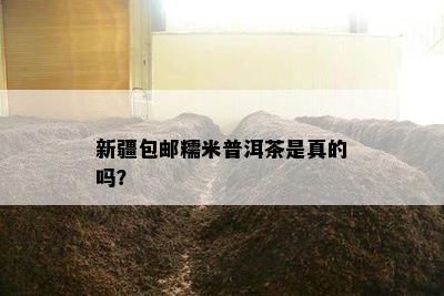 新疆包邮糯米普洱茶是真的吗？