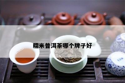 糯米普洱茶哪个牌子好