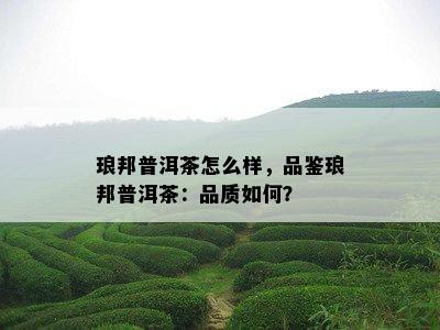 琅邦普洱茶怎么样，品鉴琅邦普洱茶：品质如何？