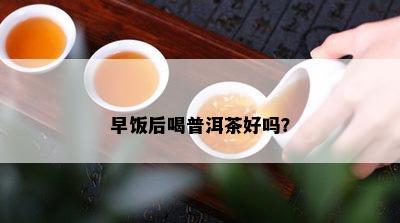 早饭后喝普洱茶好吗？