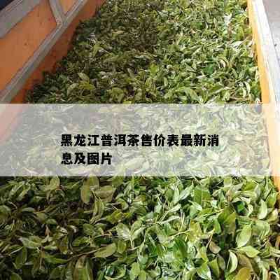 黑龙江普洱茶售价表最新消息及图片