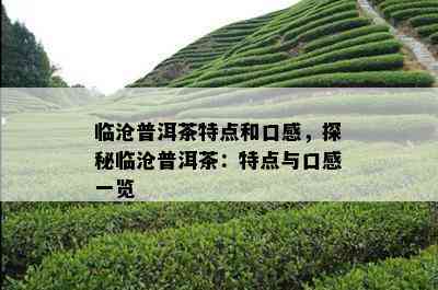 临沧普洱茶特点和口感，探秘临沧普洱茶：特点与口感一览